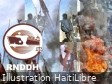 Haïti - FLASH : Aucune transition politique n’a été aussi sanglante (Rapport)
